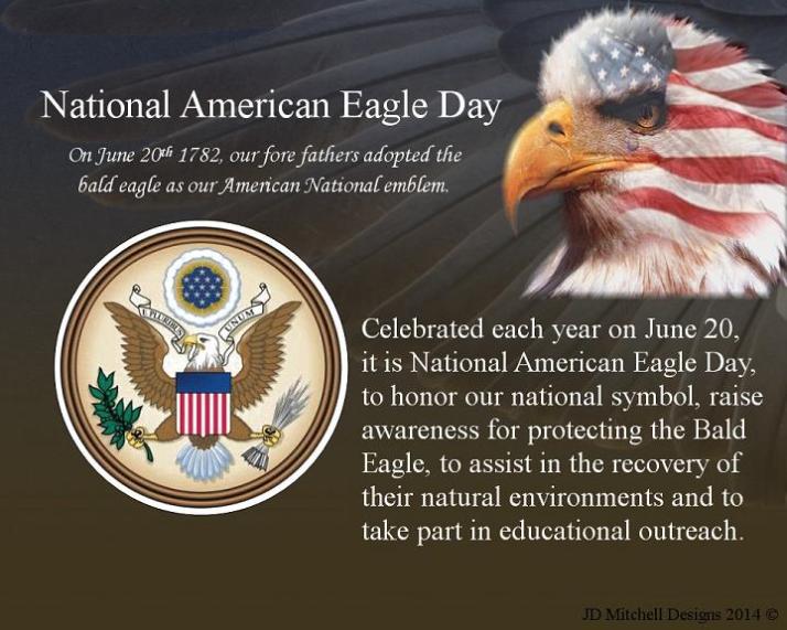June 20th is National American Eagle Day JD Mitchell Designs 2014 ©