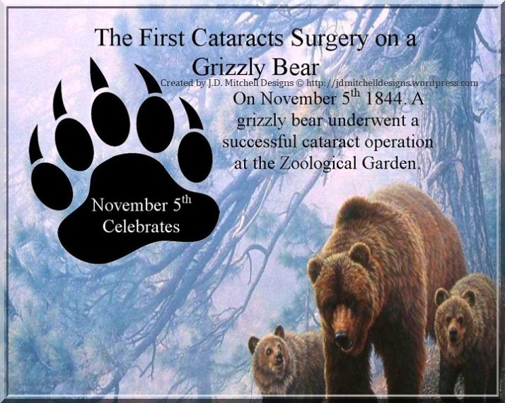 Image result for 1844 - In California, a grizzly bear underwent a successful cataract operation at the Zoological Garden.